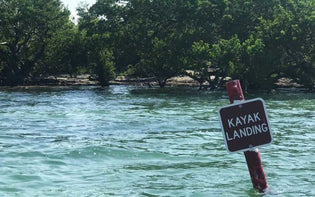  10 Great Kayaking Spots in Florida