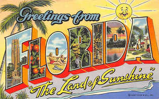  10 Best Fun Activities & Stuff To Do In Florida