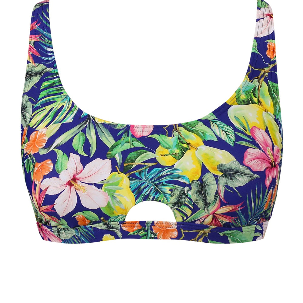 
                      
                        Sunsets Seaside Harvest Brandi Bralette Top
                      
                    