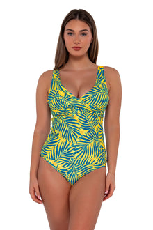  Sunsets Cabana Elsie Tankini Top Cup Sizes C to DD