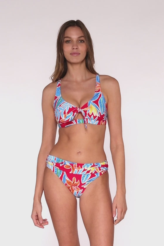Sunsets Tiger Lily Brandi Bralette Bikini Top
